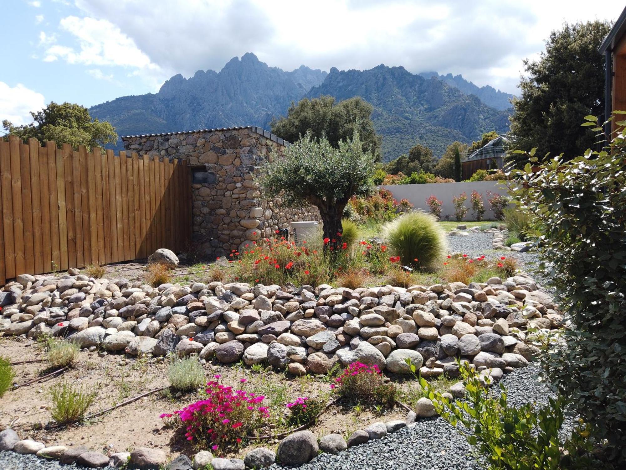Villas Vallee D'Asco Moltifao Exterior photo